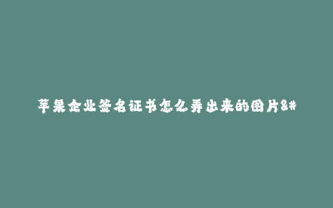 苹果企业签名证书怎么弄出来的图片--苹果企业签名证书生成图片的过程
