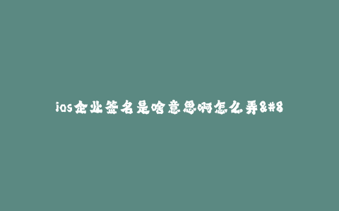 ios企业签名是啥意思啊怎么弄--什么是iOS企业签名?如何进行签名?