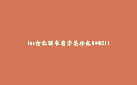 ios企业证书名字是什么--企业开发者证书的名称是什么?
