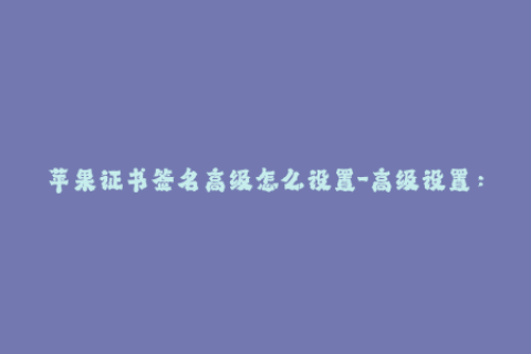 苹果证书签名高级怎么设置-高级设置：如何设置苹果证书签名？
