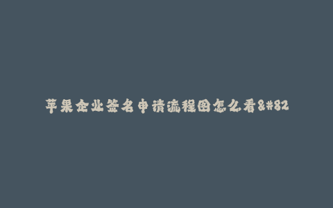 苹果企业签名申请流程图怎么看-- 苹果企业签名申请流程图详解