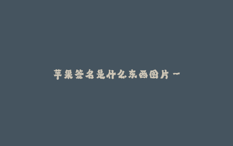 苹果签名是什么东西图片--苹果签名是什么东西图片及其作用详解