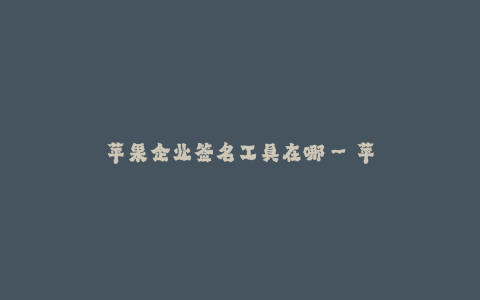 苹果企业签名工具在哪--苹果企业签名工具的使用方法及获取渠道