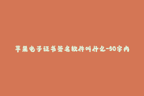 苹果电子证书签名软件叫什么-50字内的新标题：热门苹果电子证书签名工具推荐