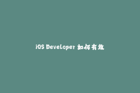 iOS Developer 如何有效地实施苹果签名