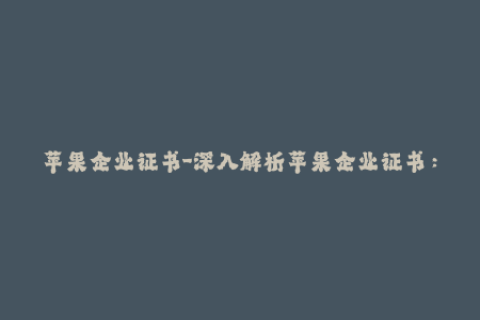 苹果企业证书-深入解析苹果企业证书：全面了解签名证书用途与流程
