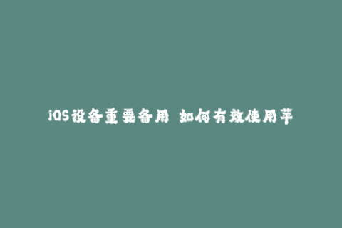 iOS设备重要备用——如何有效使用苹果签名。