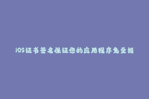 iOS证书签名保证您的应用程序免受拒绝服务攻击的最佳方式